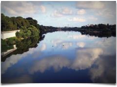 Kotturpuram Adyar River - Chennai In Focus