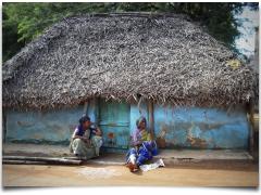Hut Houses - Chennai In Focus