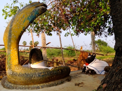Sri Arulveli Siddhar Baba Jeeva Samadhi