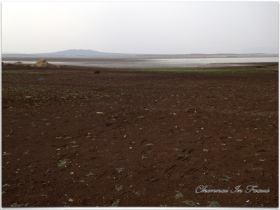 Vaigai Dam