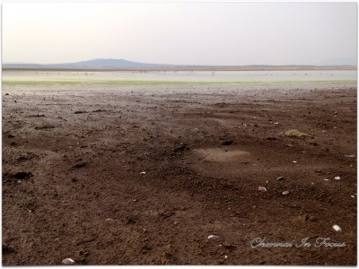 Vaigai Dam